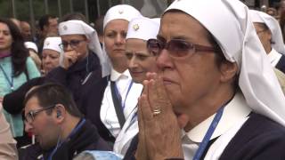 Pellegrinaggio Nazionale a Lourdes 2016 [upl. by Carothers692]