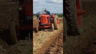 Nuffield Universal DM4 Tractor at Lutterworth Ploughing Practice Day 14th April 2024 [upl. by Lesya927]