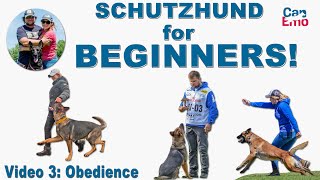 Schutzhund For Beginners Obedience [upl. by Osman181]