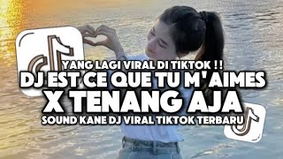 DJ EST CE QUE TU MAIMES X TENANG AJA VIRAL TIKTOK TERBARU 2024 [upl. by Earised]