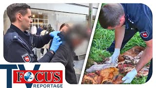 Von Verbrecherjagd bis Wildunfall Polizeieinsätze in Stadt amp Land  Focus TV Reportage [upl. by Georgetta]