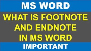 WHAT IS FOOTNOTE AND ENDNOTE IN MS WORD  how to use footnote in ms word in hindi [upl. by Nigel]