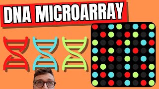 DNA Microarray Technique DNA Chip [upl. by Sneve]