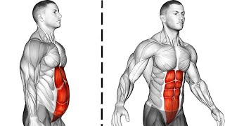 Say goodbye to a sixpack if you dont do these exercises [upl. by Raye]