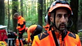 Vallombrosa  intervista a Giorgio Fiori Arboricoltore tree climber [upl. by Horace412]