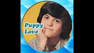 Donny Osmond  Puppy Love  American Music Theater  Lancaster PA  8123 [upl. by Ylelhsa]