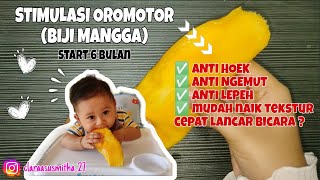 STIMULASI OROMOTOR ANAK PAKAI BIJI BUAH MANGGA  PUNYA BANYAK BANGET MANFAAT  START 6M❤️ [upl. by Talia]