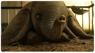 DUMBO 2019  Novo Trailer do Filme Disney liveaction [upl. by Olonam561]