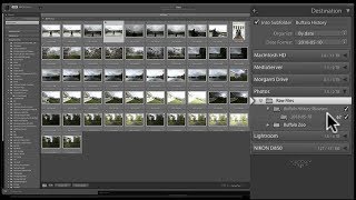 Mastering Lightroom Classic CC  2 Importing [upl. by Trygve960]