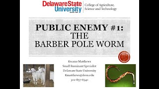 Barber Pole Worm [upl. by Safoelc509]