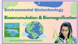 Bioaccumulation and Biomagnification Difference [upl. by Rebba949]