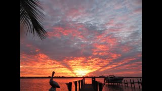 Siesta Key Live  Relaxing Sounds of Calm Waves and Island Life [upl. by Namwen]