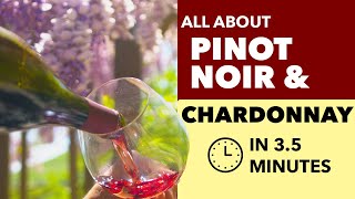 Pinot Noir and Chardonnay  All About These Cool Climate Wine Grapes [upl. by Anahsor]