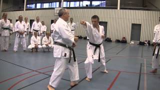 Sensei Wim Massee teaching sanbon kumite jodan uke 14 Wado ryu [upl. by Oiuqise]