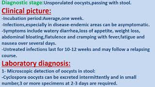 cyclospora cayetanensis [upl. by Lihp]