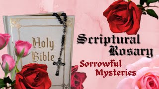 Scriptural Rosary  Sorrowful Mysteries [upl. by Merlina]