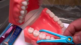 Flossing Technique  Oral Hygiene Instructions by Dr Berdy periodontist Jacksonville FL [upl. by Atisor]