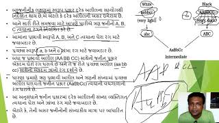 Chap  5 Biology  Lec  11 Gujarati Medium Std 12 [upl. by Aviv]