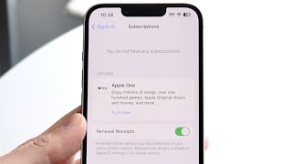 How To Turn Off AutoPay On ANY iPhone Application [upl. by Galatea]