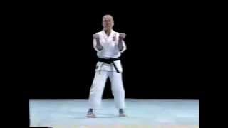 Asairyu karate Kihon Sanchin dachi Mumbai seminar 浅井流空手・基本・サンチン三戦立ち・インド講習会 [upl. by Aicemaj686]