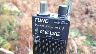 testing VLF Pocket radio [upl. by Wanda551]