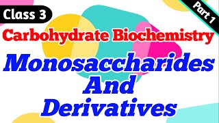 Monosaccharides Part 1 [upl. by Ennoitna830]