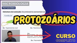 PROTOZOÁRIOS  Características gerais  Microbiologia  Aula 13 [upl. by Riella769]