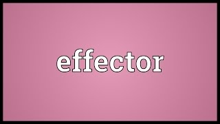 Effector Meaning [upl. by Beall]