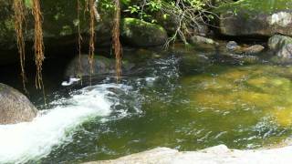 Cachoeira do Maciambu  Palhoça Sc [upl. by Wilkins]