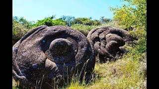 Do these Trovant Rocks really Grow [upl. by Thalassa]