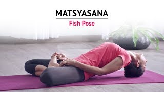 Matsyasana  Fish Pose  Steps  Benefits  Yogic Fitness [upl. by Ellezig]