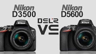 Nikon D3500 vs Nikon D5600 [upl. by Haynor]