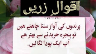 dil ko chhone wale alfaz behtren aqwal best quotes YouTube viralvideos best motivational quotes [upl. by Christabelle]