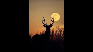 😍DEAD DEER REMOVAL SERVICES NEAR ME NEW JERSEY 5000 OFF deaddeerremovalservicesnearme😍 [upl. by Annor730]