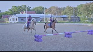 Harlow Fifi Lexi and Popcorn 💖 [upl. by Annait]