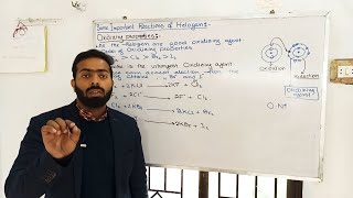 Some important Reactions of Helogen  Oxidizing Properties  9th Class chemistry  chno8 [upl. by Anorahs455]