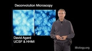 Microscopy Deconvolution Microscopy David Agard [upl. by Cristin]