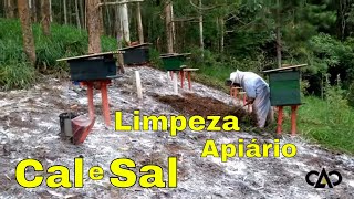 Limpeza do Apiário e Aplicação de Cal e Sal na Terra para proteção de Predadores [upl. by Behre943]