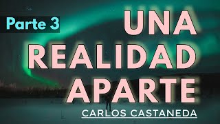 UNA REALIDAD APARTE  C Castaneda  Parte 3  Audiolibro completo  Español  Voz humana [upl. by Dhiman]