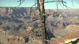 Mount St Helens Explains Grand Canyon [upl. by Rodrigo]