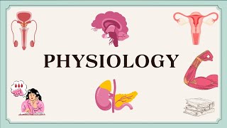 شرح physiology lecture  puberty بأسهل طريقة  🧠 ♥️♥️ [upl. by Jarrett]