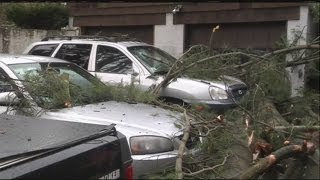 Cars homes damaged due to wind [upl. by Einad145]