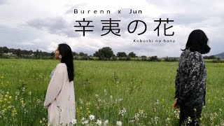 こぶしファクトリー quot辛夷の花quot Kobushi no hana  Cover by Ｂｕｒｅｎｎ [upl. by Dammahom]