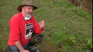 Best Fox Trap Fox Trapping How to Catch A Fox Live Actual Catch Dirt Hole Secrets [upl. by Bebe]