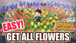 How to Get ALL HYBRID FLOWERS EASILY in Animal Crossing New Horizons [upl. by Coryden]