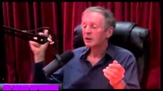 Rupert Sheldrake on the Difference between Darwinism and Neo Darwinism [upl. by Asyar530]