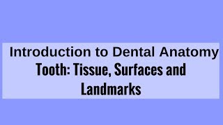 Tooth Tissue Surfaces and Landmarks [upl. by Photina]