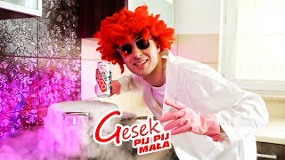 Gesek  Pij pij mała Official Video [upl. by Auqenat722]