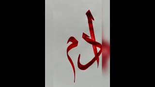 Arabic CalligraphyName LetteringADAMcalligraphy arabiccalligraphy [upl. by Eigla135]