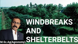 WINDBREAKS AND SHELTERBELTS [upl. by Iroak]